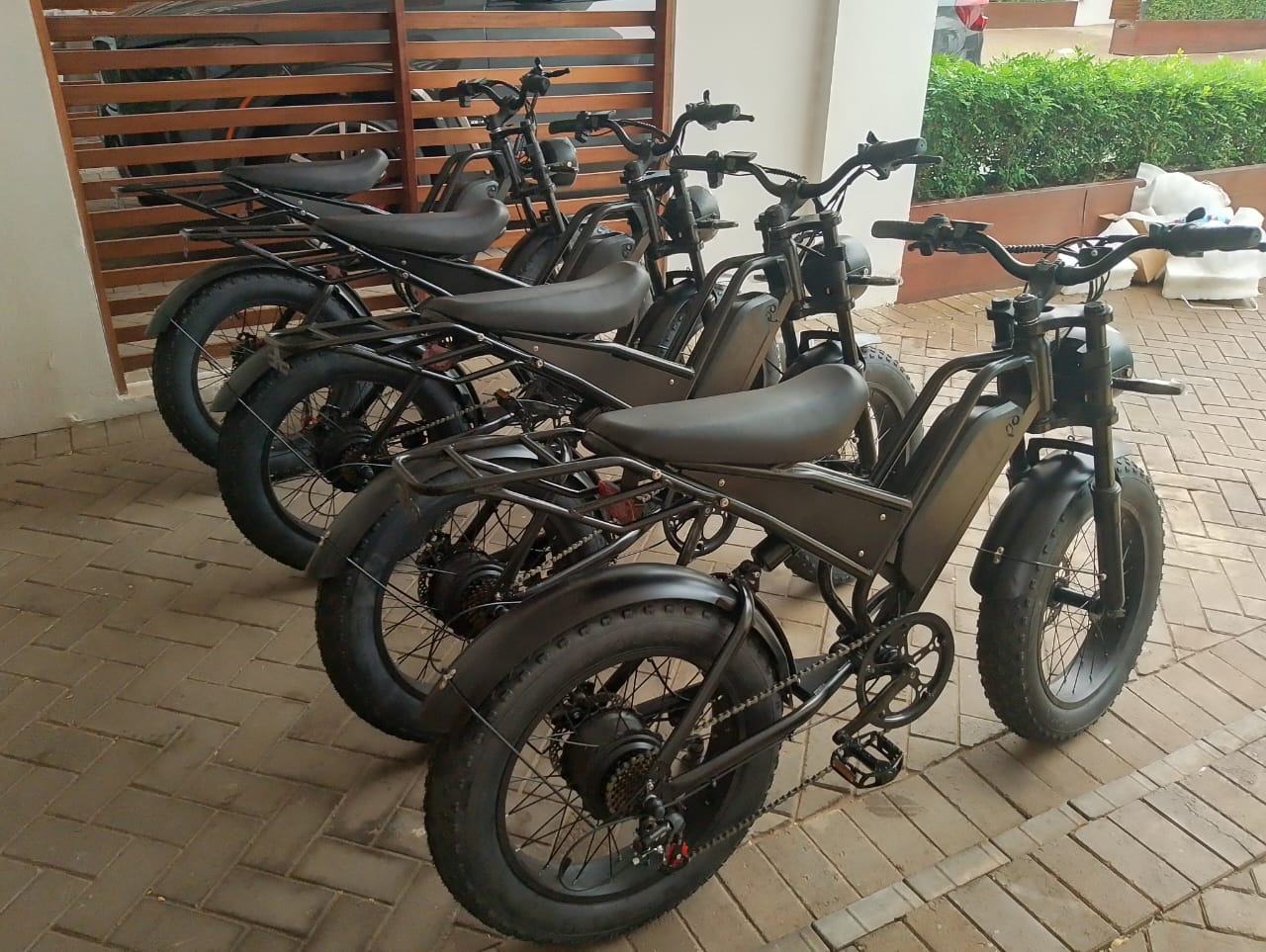 E-Bikes Fleet 2